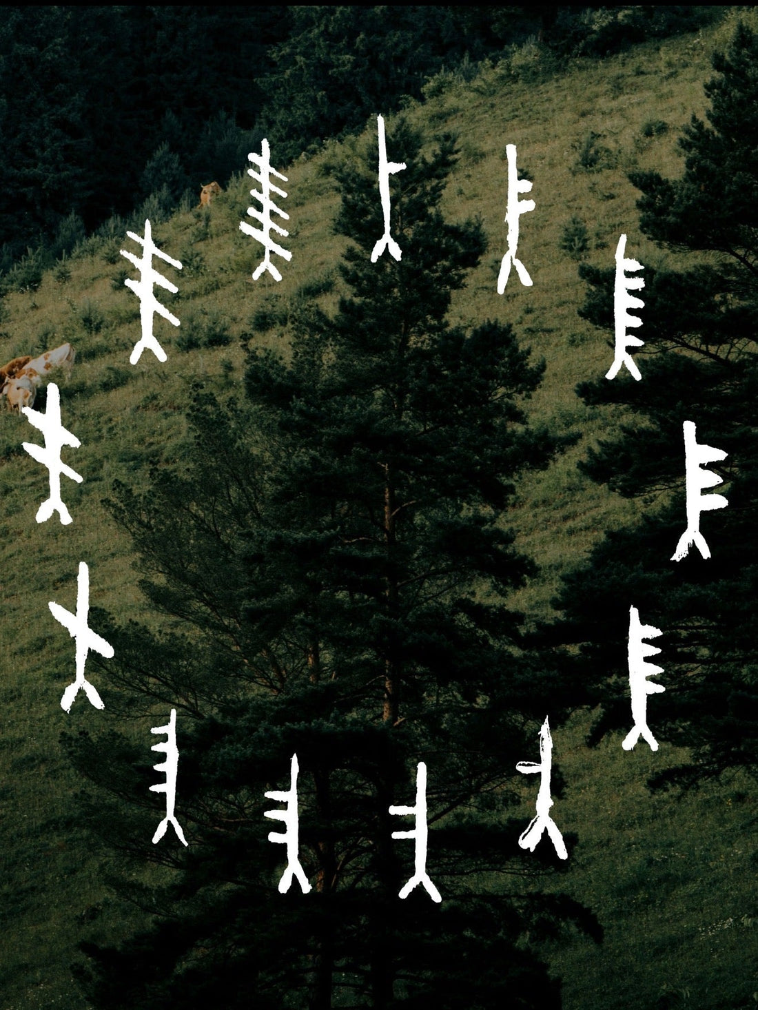 关于ZhongYi