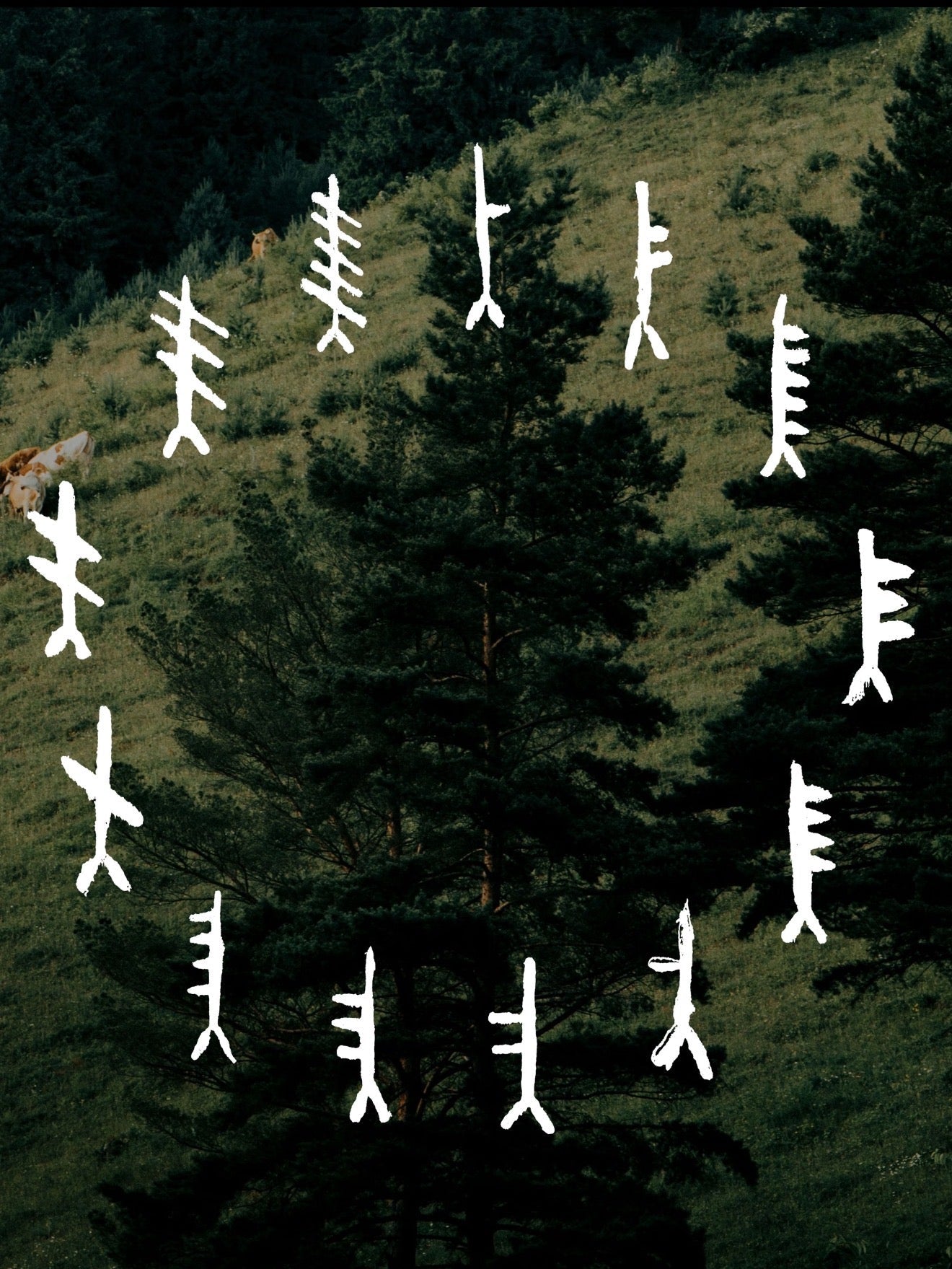 关于ZhongYi